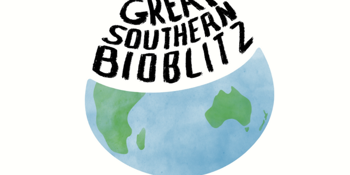 Great Southern BioBlitz Great Southern BioBlitz
