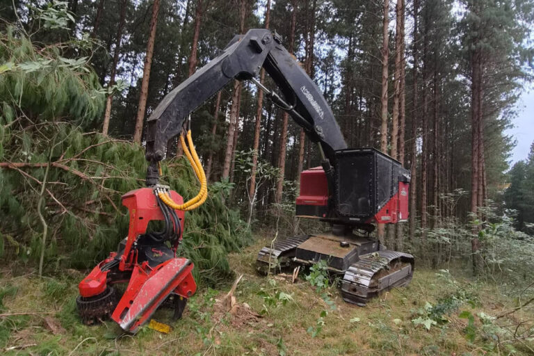 The TimberPro 725D and SP 761LF combination is proving to be an ideal solution for Mkhoba Forestry's steep slope harvesting operations.