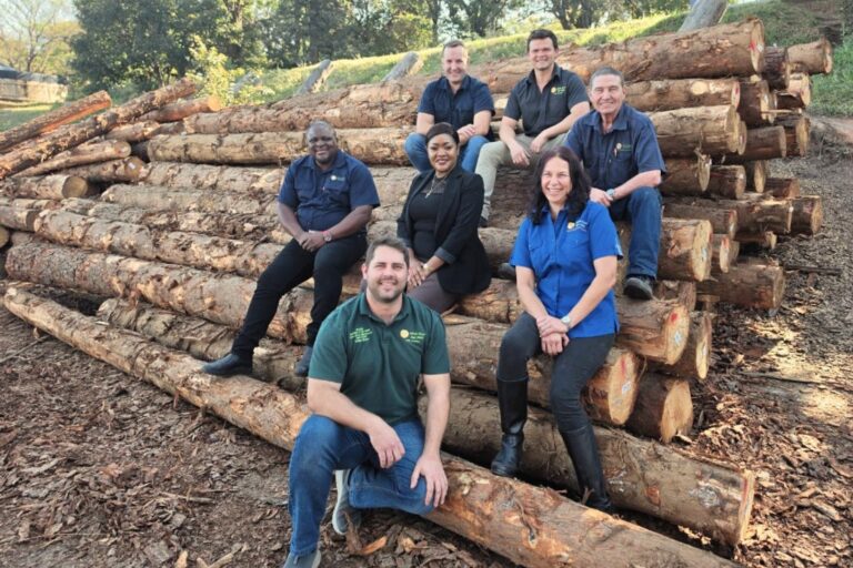 The White River Sawmill senior management team:  Top left to right: Willie Stander (CEO), Rico Venter (group engineer) and Carel Jacobsz (sawmill manager White River). Middle left to right: Metsing Maloka (sawmill manager Densa), Shenè Roberts (sales manager) and Karlien Maritz (HR manager). Front: Douw Steyn (CFO). Absent: Kobus Hugo (log procurement manager).